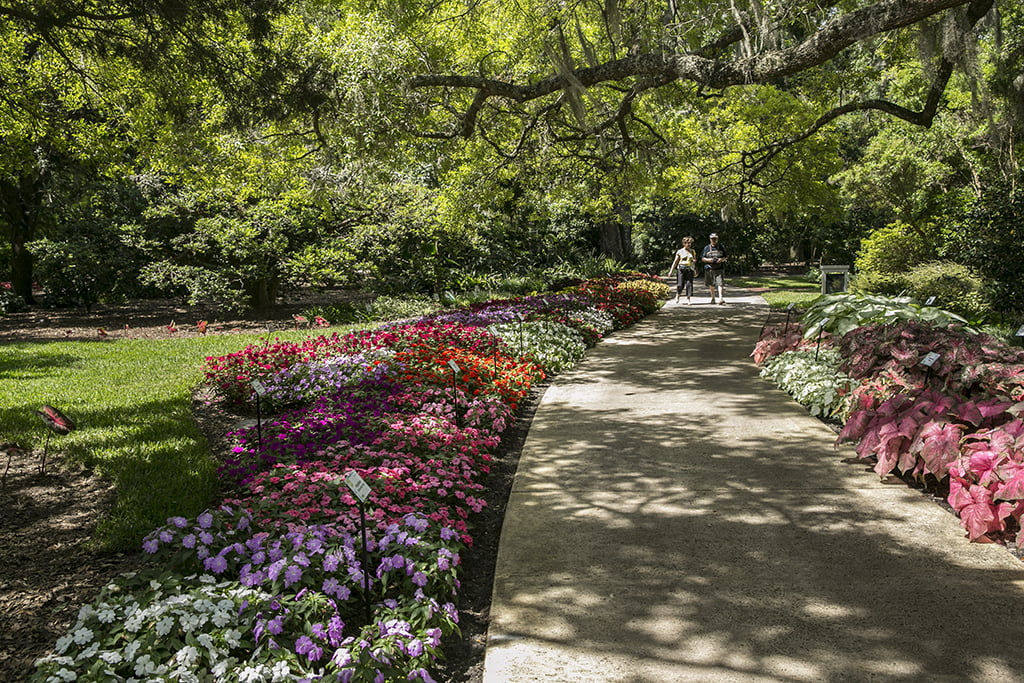 Harry P. Leu Gardens